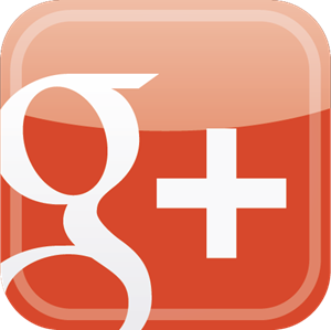 Google+